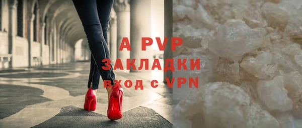 соль ск Белокуриха