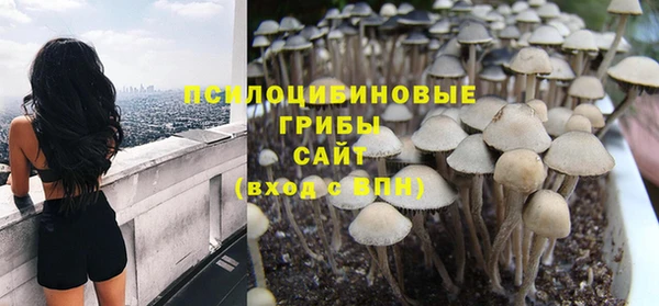 соль ск Белокуриха