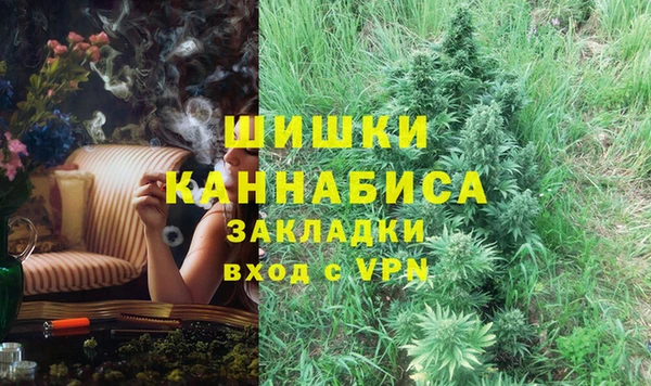 соль ск Белокуриха